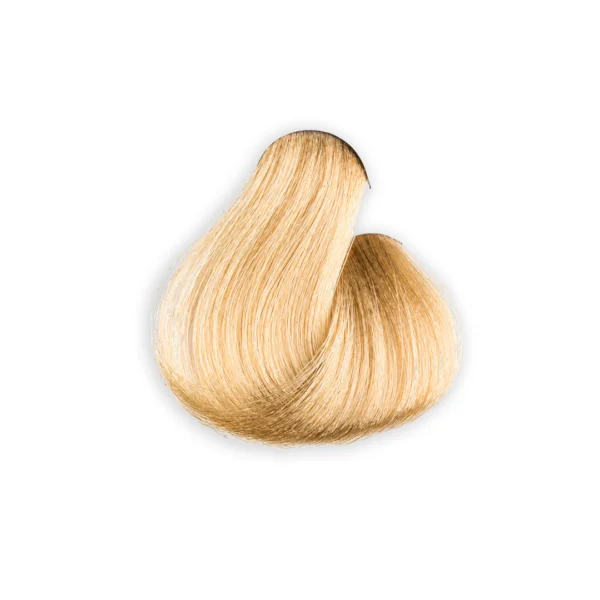 10/00C Warm Intense Ultra-Light Blonde